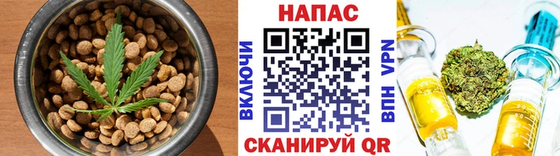 Cannafood марихуана  хочу наркоту  Арск 