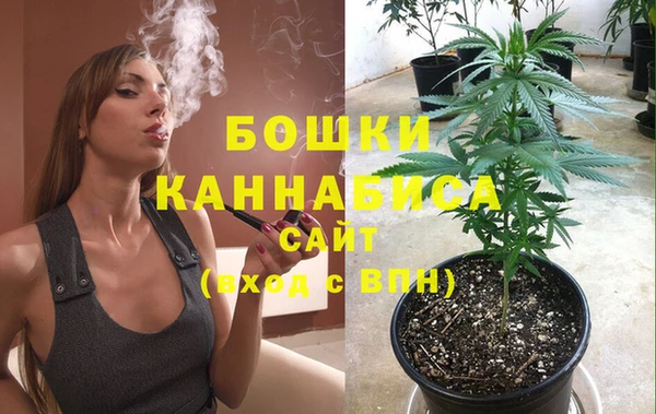 альфа пвп Снежногорск