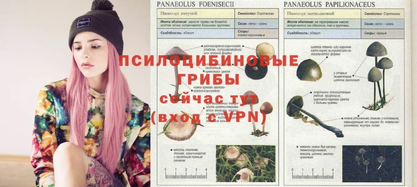 сатива Семикаракорск