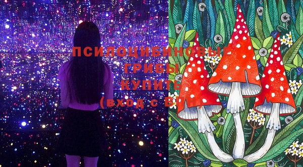 сатива Семикаракорск