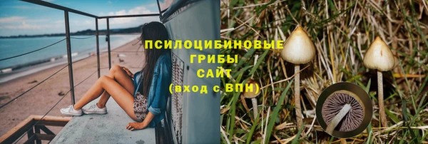 прущие грибы Семёнов