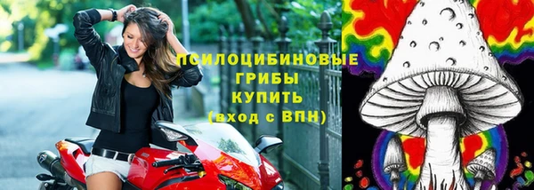 прущие грибы Семёнов